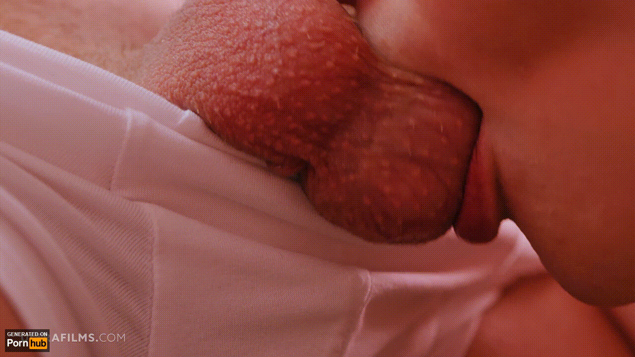 Licking Balls Porn Gif | Pornhub.com