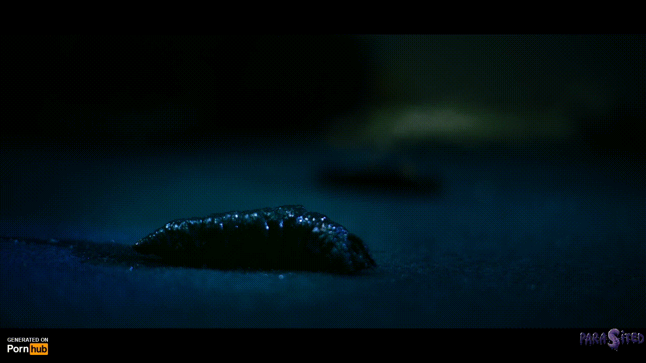 Horror Porn Insects Porn Gif | Pornhub.com
