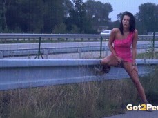pissing on the side of a busy freeway gif