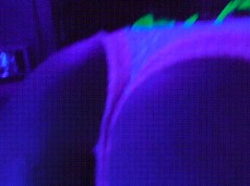 neon ass gif