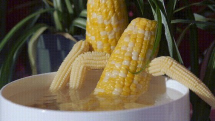 Corn Porn - Corncock Porn GIFs | Pornhub