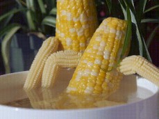 #corn #corn-cob #corncock #cornhub #corno #cornsex #cornstar #corny #monster-corn #corned #blackcorn #whitecorn gif