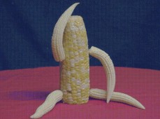 corn gif
