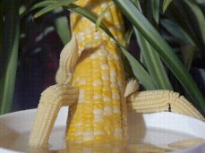 #corn #veg gif