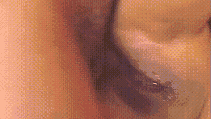 430px x 242px - Annie Cruz Ass To Mouth Porn Gif | Pornhub.com