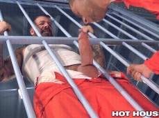 HotHouse Stiff Cocks In Prison 02:59 gif