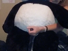 Jackin the panda gif