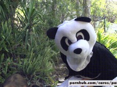 I wanna be that panda gif