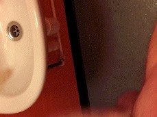 Shaking my hard horny cock in the toilet at work gif