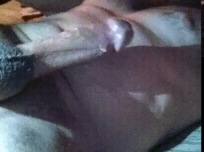 dripping pre cum from hard cock gif