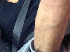 in the car gif