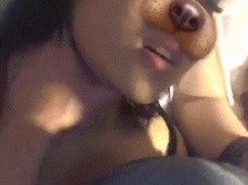 Bf Indian Girls Dog - Dog And Filter Porn Gif | Pornhub.com