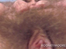 hairy pussy gif