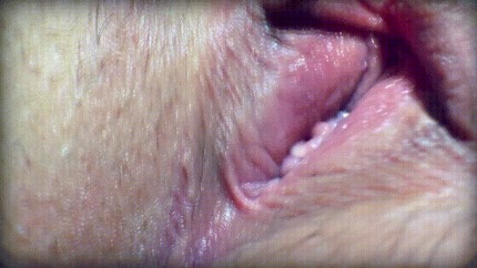 Meaty Labia Lips Porn Gif Pornhub com 