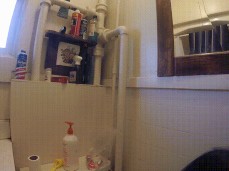 Cheating in the Bathroom gif