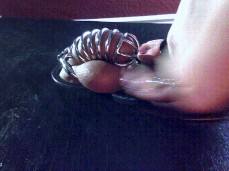 trample while in chastity gif