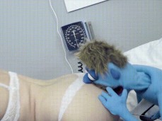 Muppets Porn - Nurse And Muppet Porn Gif | Pornhub.com
