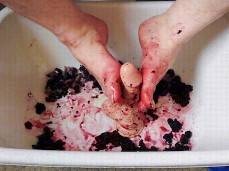 Fun and cold with dildo and blackberries gif