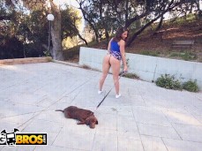 Abella Danger twerking with her doggie pt 2 gif