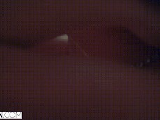 VIXEN Sophie Dee is Completely Insatiable and gets the Fuck of her Life gif