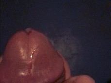 Cumming For You gif