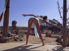 ass pussy gif
