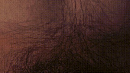 430px x 242px - Hairy Cartoon Porn GIFs | Pornhub