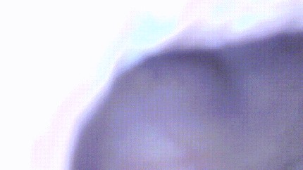 Порно видео камера внутри влагалища