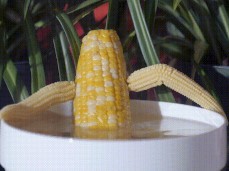 Corn gif
