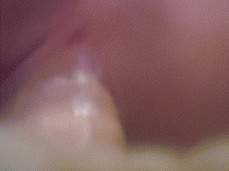 Watch Close Up Penetration of My Pussy gif