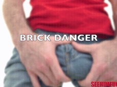 Brick Danger gif