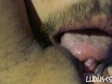 Face Sitting - Close Up Clit Licking gif