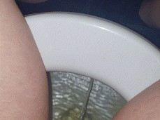 girl pov pissing on the toilet gif