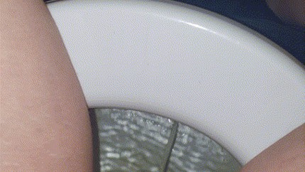 Girl Pov Pissing On The Toilet Porn Gif Pornhub com 