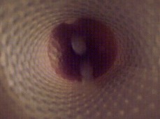 Fleshlight inside view and cumshot gif