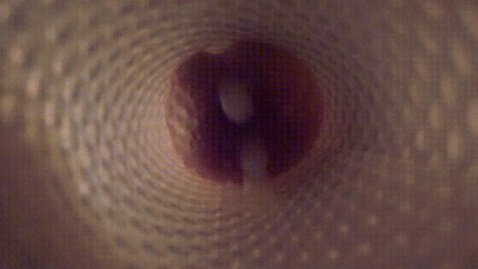 Fleshlight Internal Cumshot - Fleshlight Inside View And Cumshot Gay Porn Gif | Pornhub.com