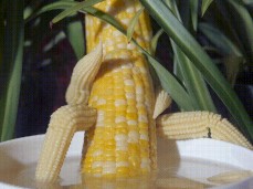 Corny gif