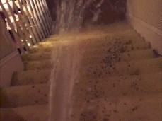 Power Pissing Down the Stairs gif