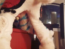 doggy style is best gif