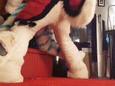 Doggy style is best gif