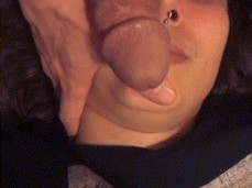 Rubbing cock on face gif