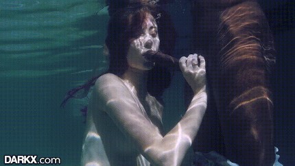 430px x 242px - An Underwater Blowjob On A Bbc Like Mine Would Be Enjoyable. Right? Porn  Gif | Pornhub.com