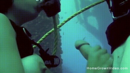 430px x 242px - Scuba Diving Porn GIFs | Pornhub