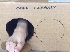 Surprise Delivery Glory Hole box Set of Sexy Big Male Feet to Worship gif