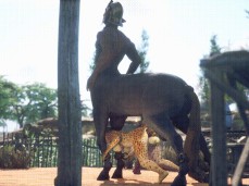Aroused centaur gif