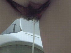 pissing in nasty motel toilet gif