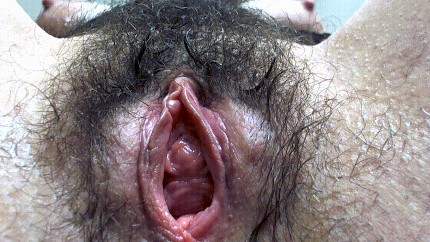 430px x 242px - Close Up And Hairy! Porn Gif | Pornhub.com