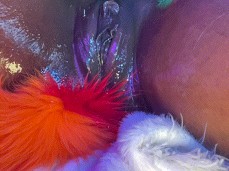 Horny Ebony Plays With Her Wet Pussy gif