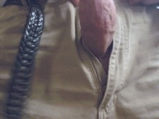 Hot, hard, thick dick released (1/2) 0036-1 6 gif