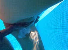 Swimming Pool CreamPie Underwater Cumshot gif